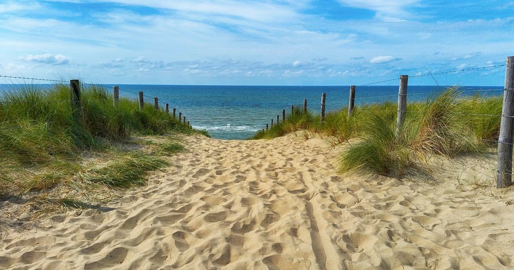 North sea beach sand path. Free public domain CC0 image.
