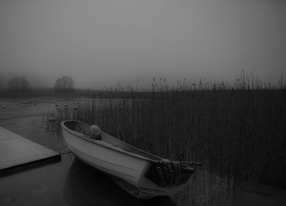 Rowboat in the water. Free public domain CC0 photo.