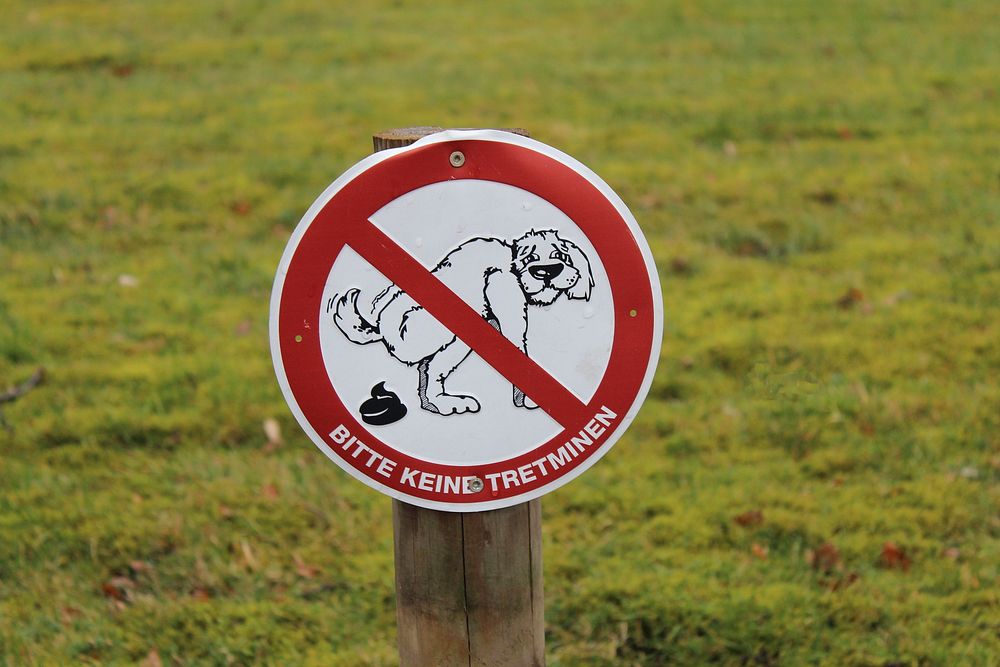 Sign indicating no dog poop. Free public domain CC0 image