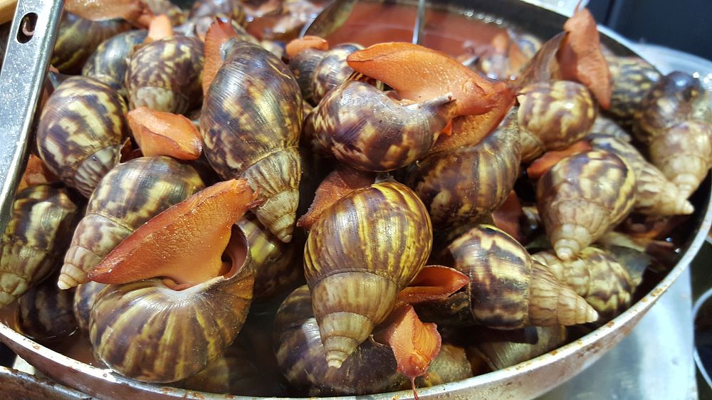 Delicious gastronomy food, snails. Free public domain CC0 photo
