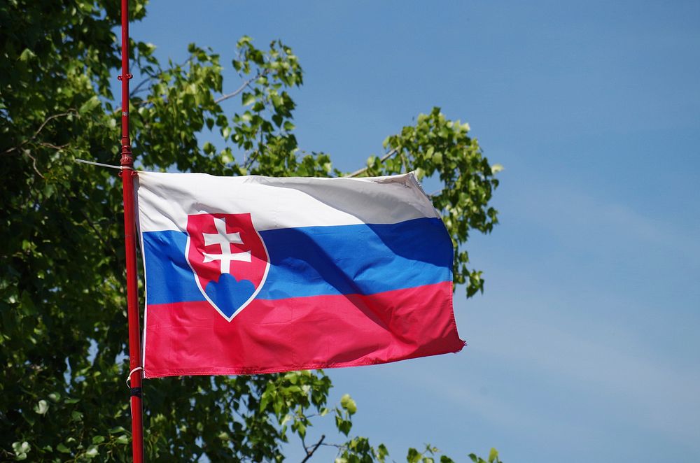 Slovakia flag. Free public domain CC0 image.