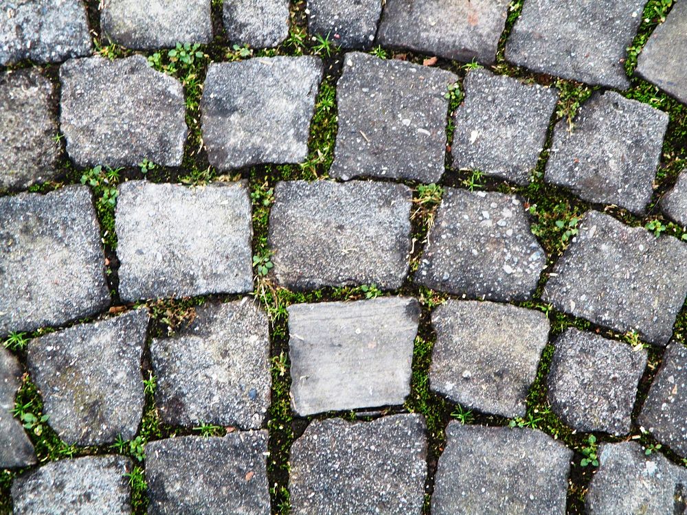 Cobblestone pavement for walking. Free public domain CC0 photo