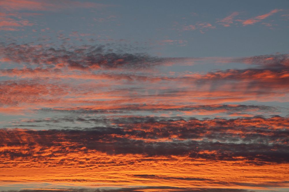 Sun rising background. Free public domain CC0 photo.