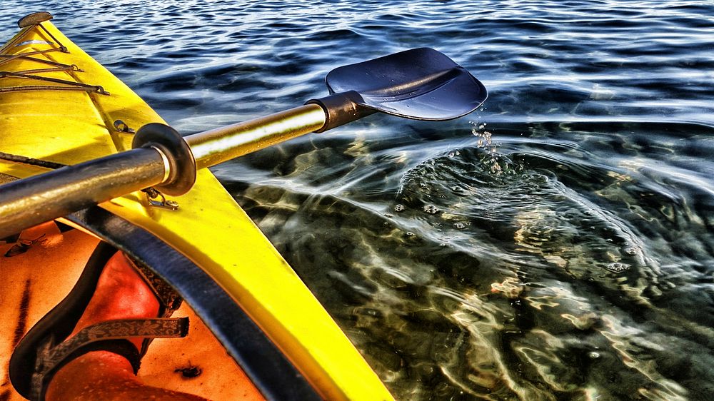 Closeup on kayak and paddle. Free public domain CC0 photo.