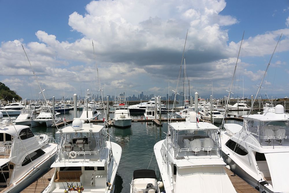 Yachts docking at marina. Free public domain CC0 photo.