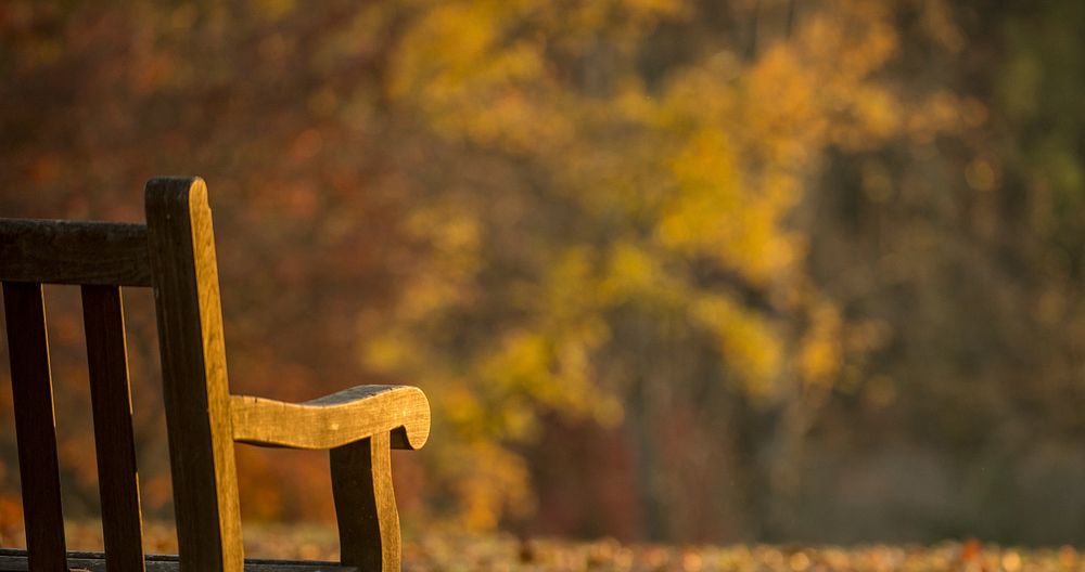 Park bench. Free public domain CC0 photo