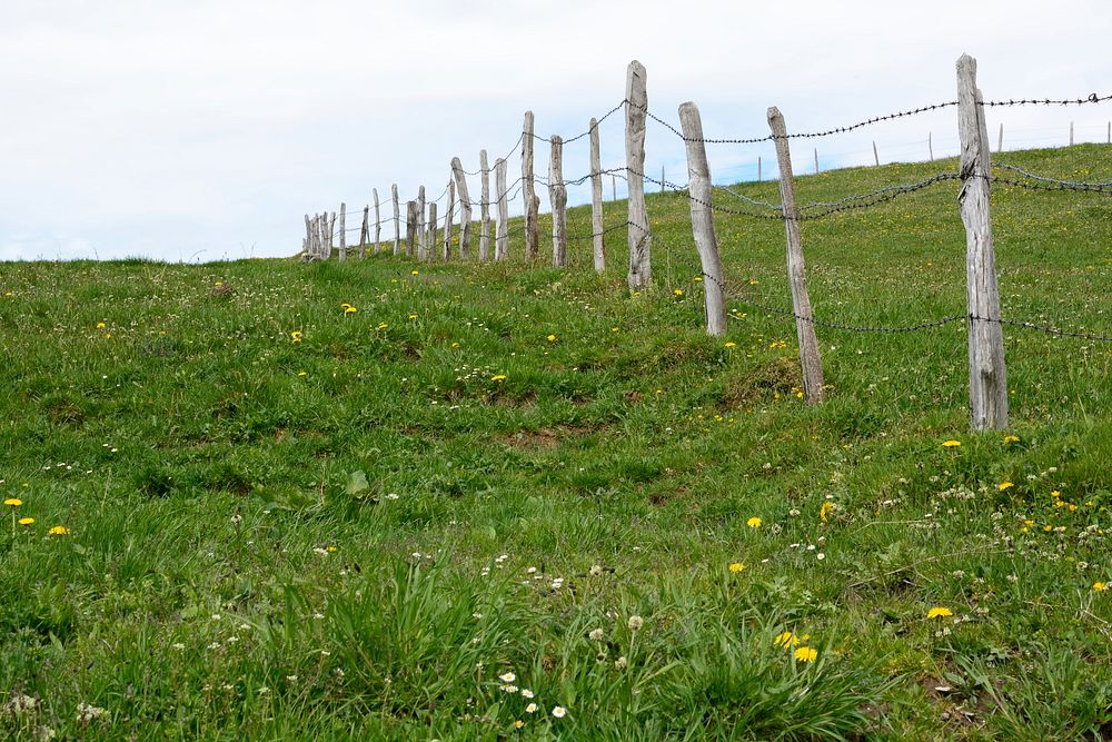 Countryside. Free public domain CC0 photo