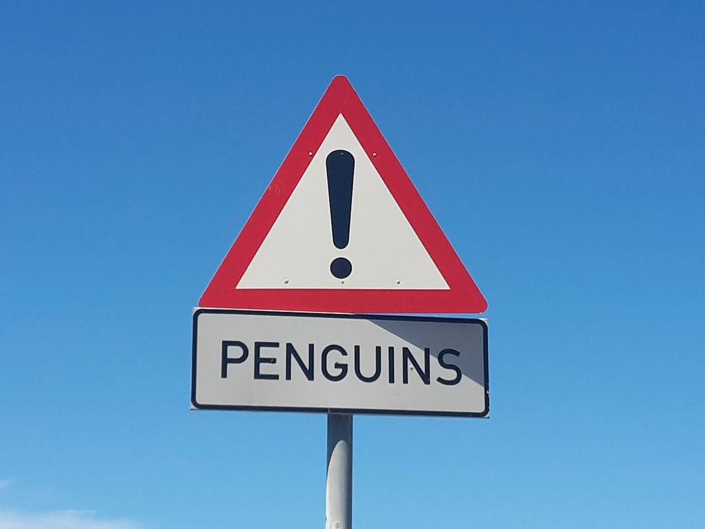 Penguin warning road sign. Free public domain CC0 photo.