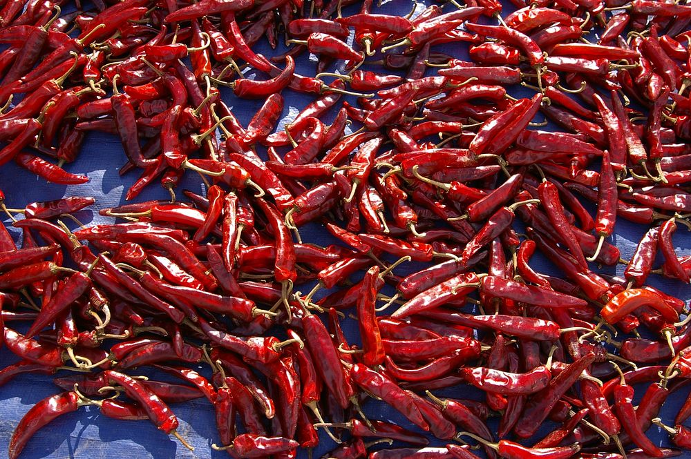 Dry red chilis. Free public domain CC0 photo