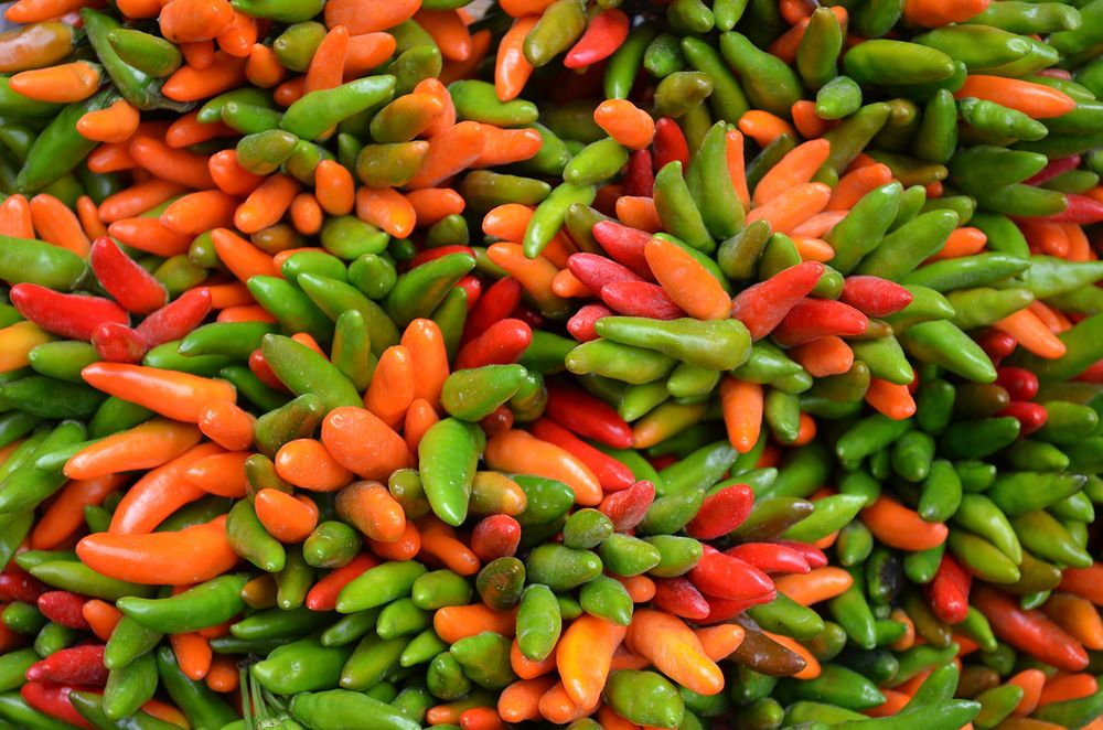 Colorful chili & peppers. Free public domain CC0 photo