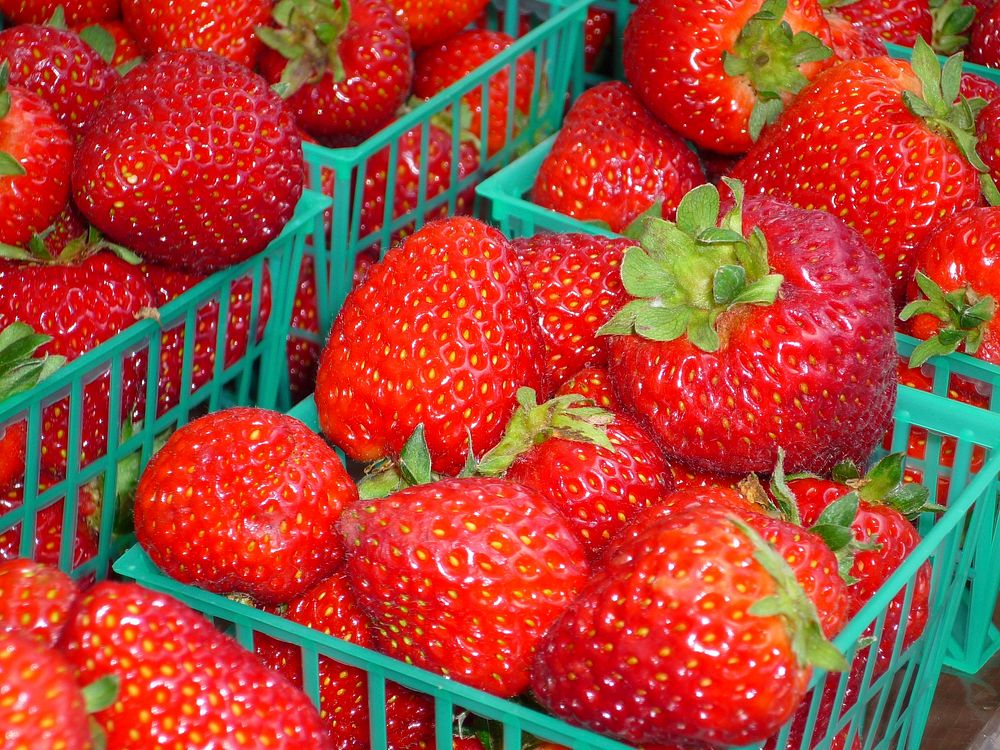 Strawberry. Free public domain CC0 photo.