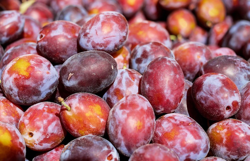 Pile of plum fruit. Free public domain CC0 photo.