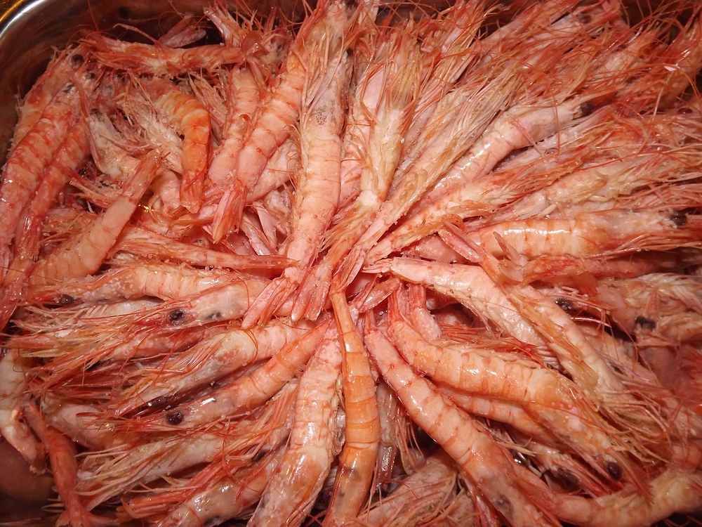Boiled shrimp. Free public domain CC0 photo.