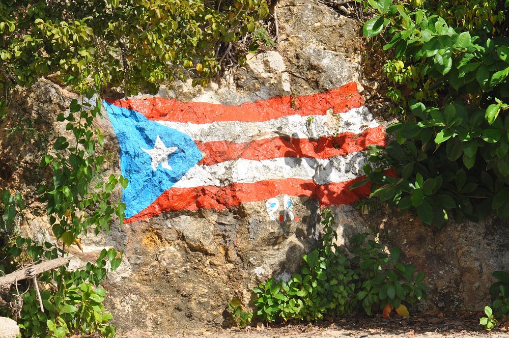 Puerto Rico flag. Free public domain CC0 image.