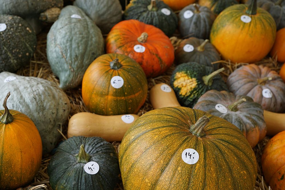 Variety of pumpkins in a market. Free public domain CC0 photo.