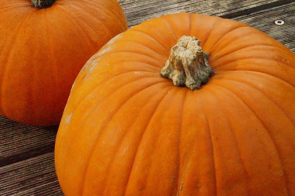 Closeup on pumpkins. Free public domain CC0 photo.