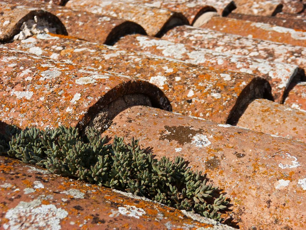 Rustic roof. Free public domain CC0 photo.