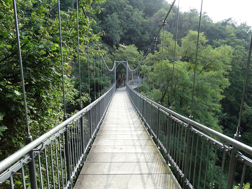 Suspension bridge in forest. Free public domain CC0 image.