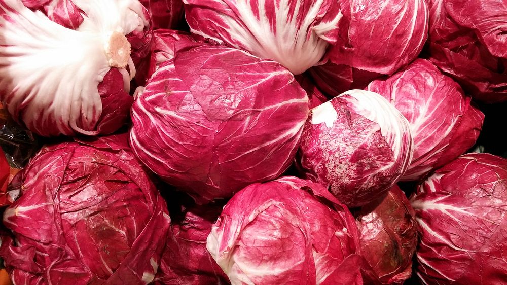 Purple cabbage. Free public domain CC0 photo