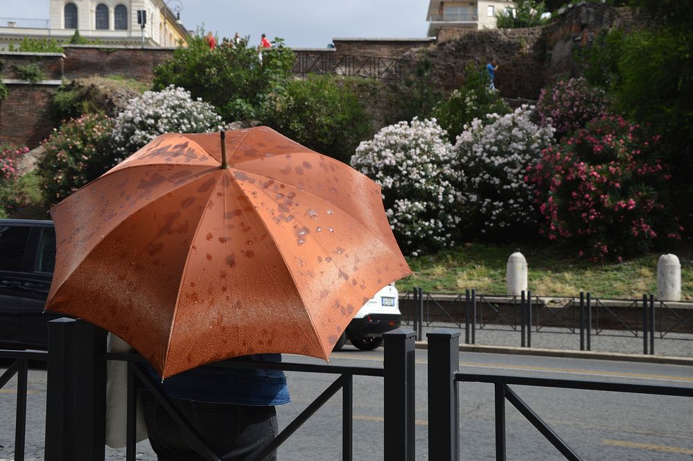 Person holding umbrella. Free public domain CC0 photo.