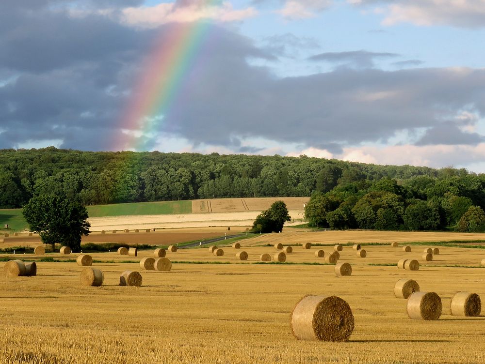 Rainbow over a field. Free public domain CC0 image.