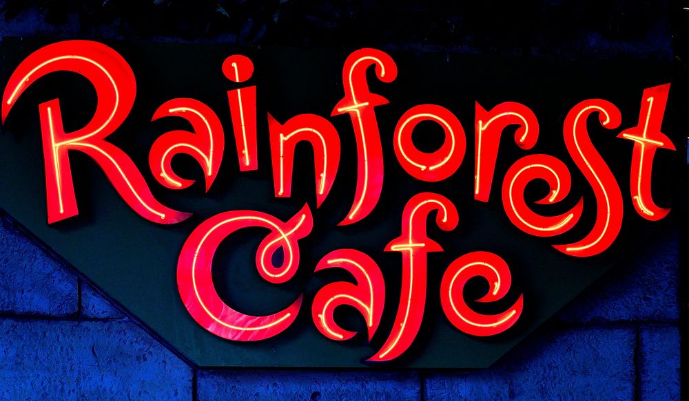 Rainforest cafe neon sign, Location unknown, Jan. 17, 2014.