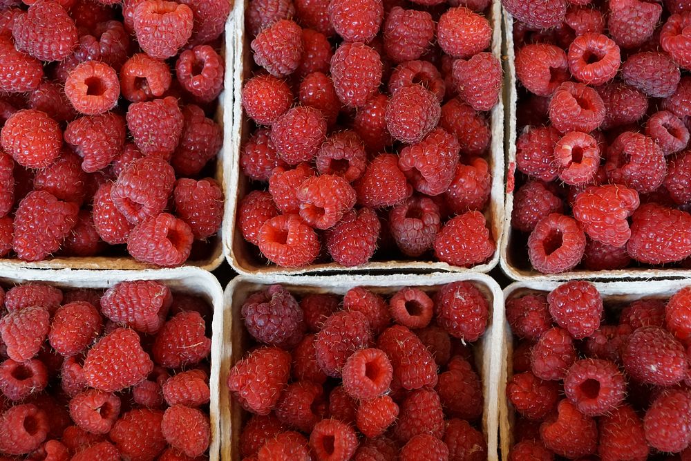 Red raspberries in boxes. Free public domain CC0 image. 