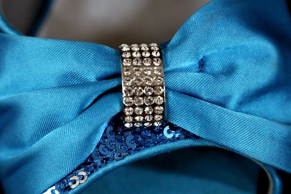 Blue bow accessory. Free public domain CC0 photo.