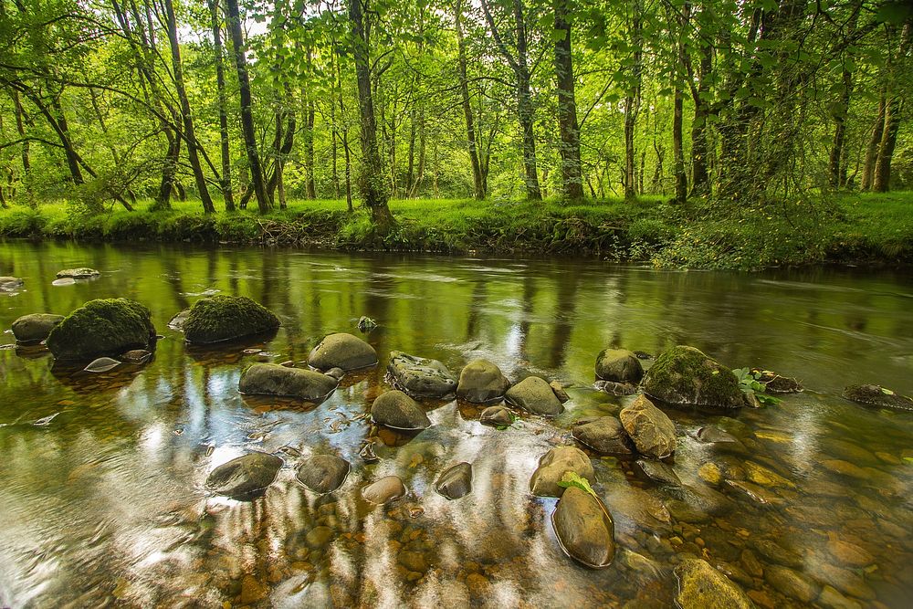 Stones in river. Free public domain CC0 photo.