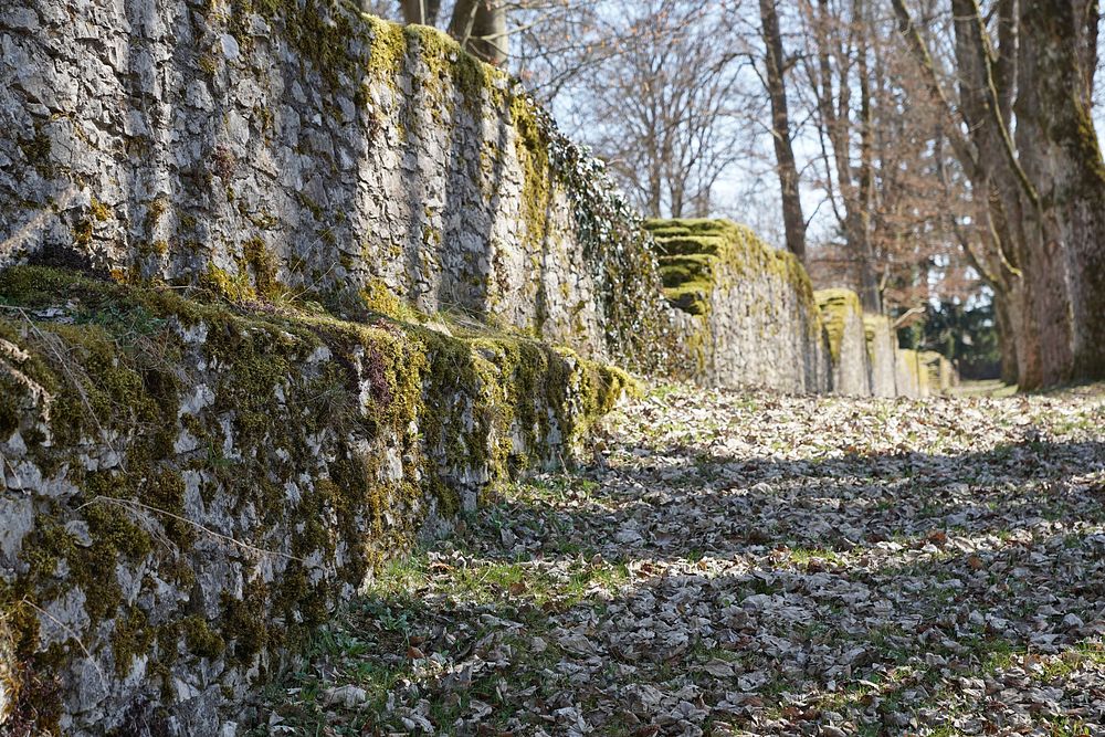 Brick wall with lichens. Free public domain CC0 photo.