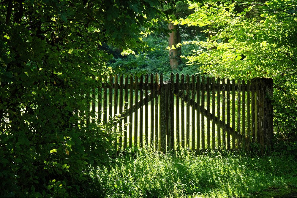 Wooden fence & green trees. Free public domain CC0 photo