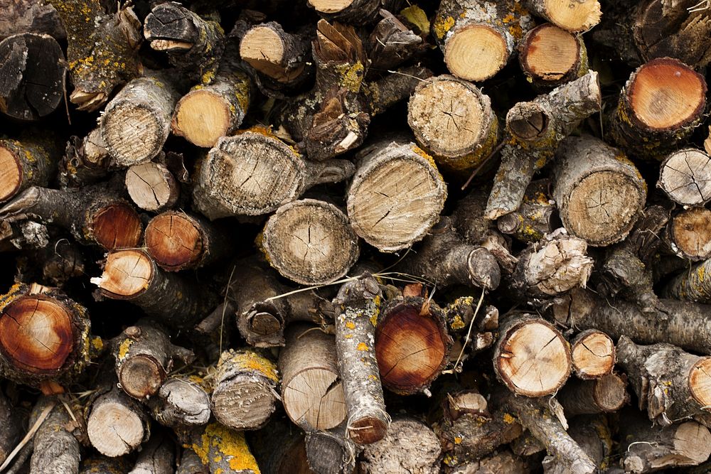 Stack of firewood timber. Free public domain CC0 image