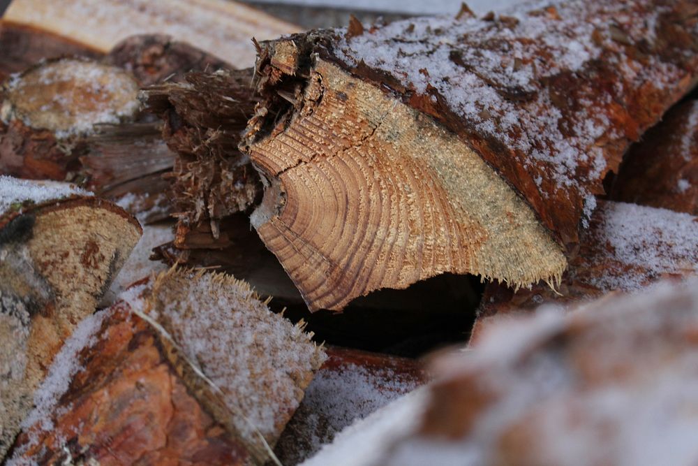 Closeup on firewood with snow. Free public domain CC0 image.