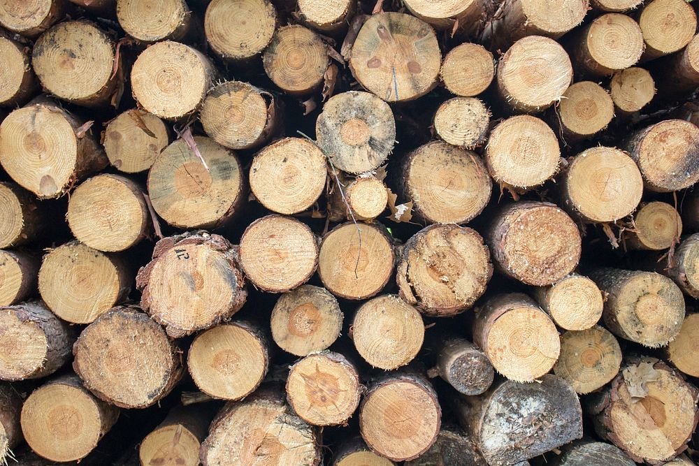 Pile of lumber background. Free public domain CC0 photo.