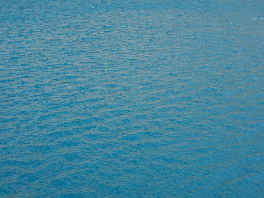 Calm sea waves close up. Free public domain CC0 photo.