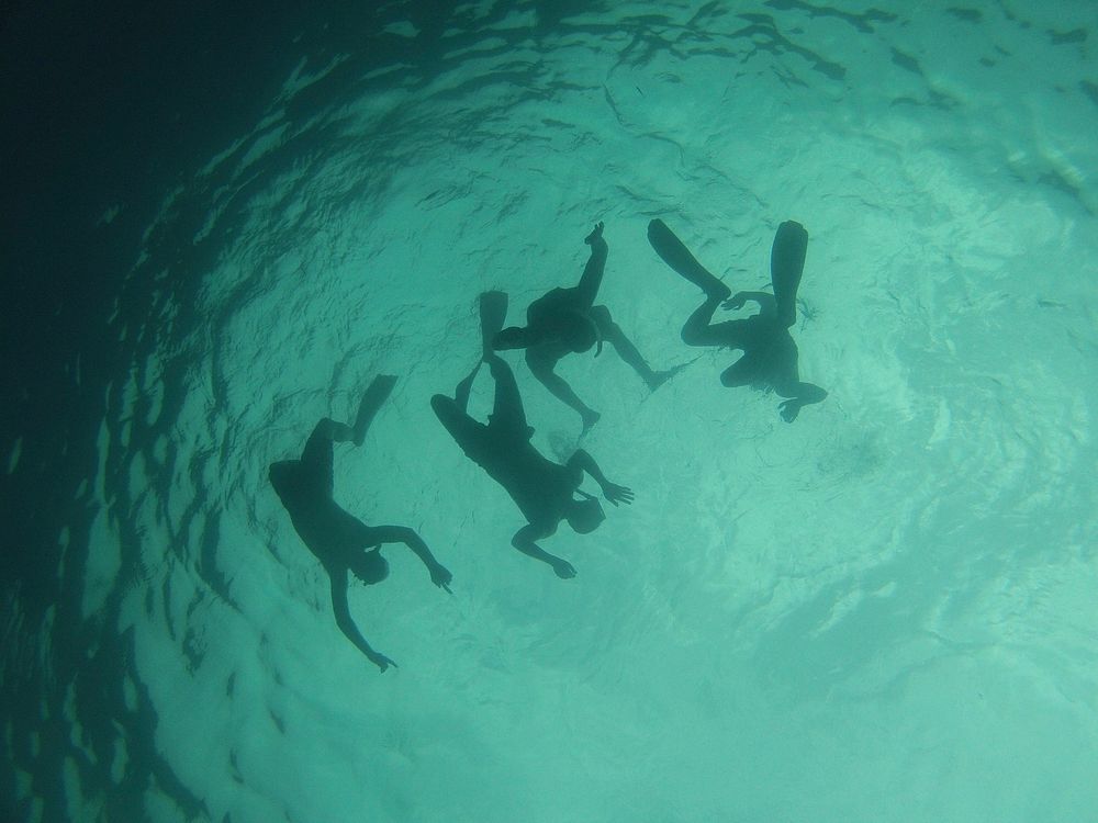 Friends snorkeling in the sea. Free public domain CC0 image.