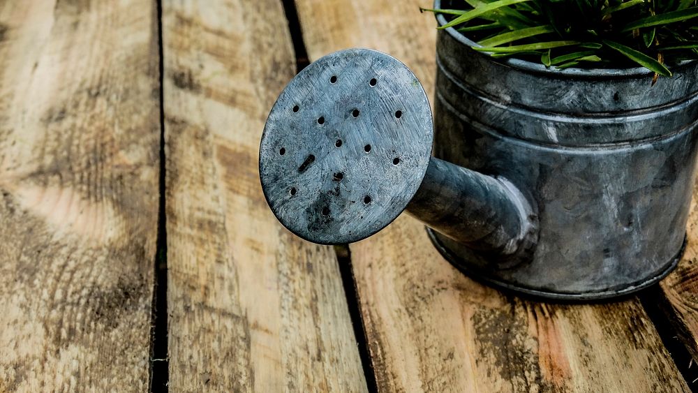 Watering can in garden. Free public domain CC0 photo.