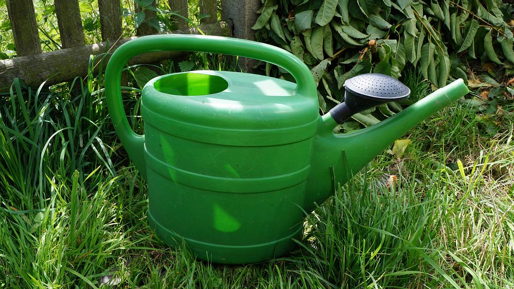 Watering can in garden. Free public domain CC0 photo.