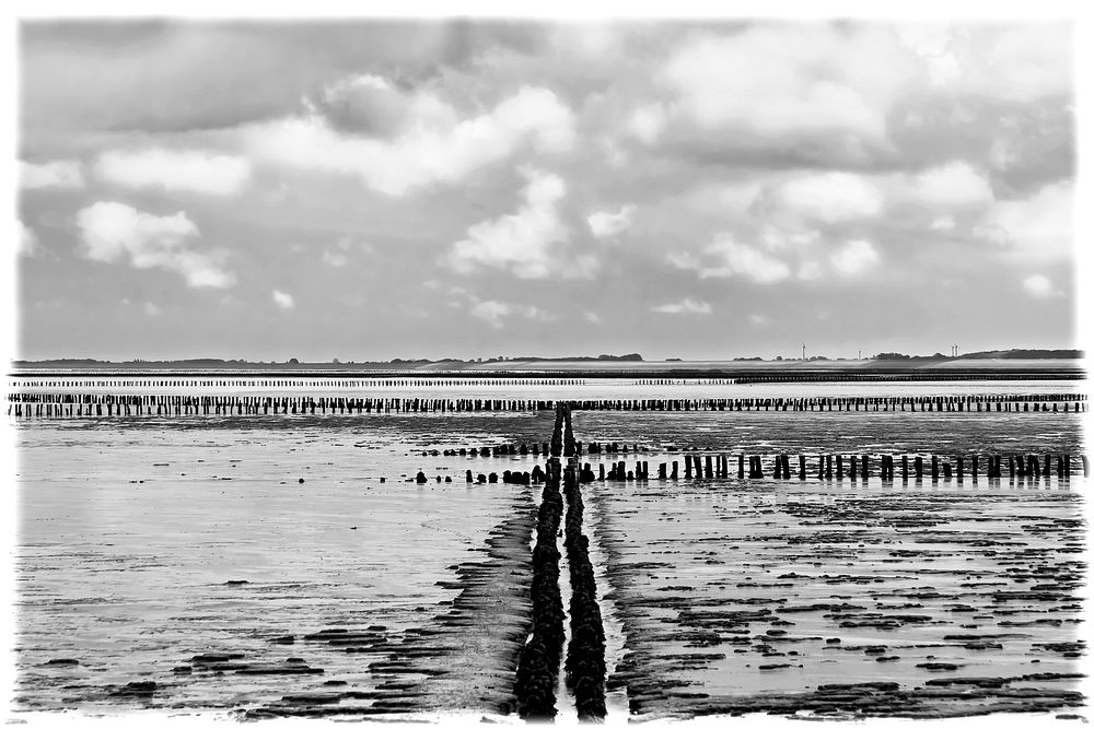 Beach, black and white photo. Free public domain CC0 image.