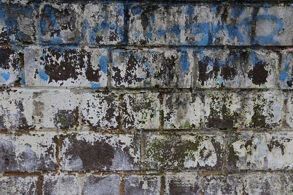 Brick wall texture. Free public domain CC0 photo.