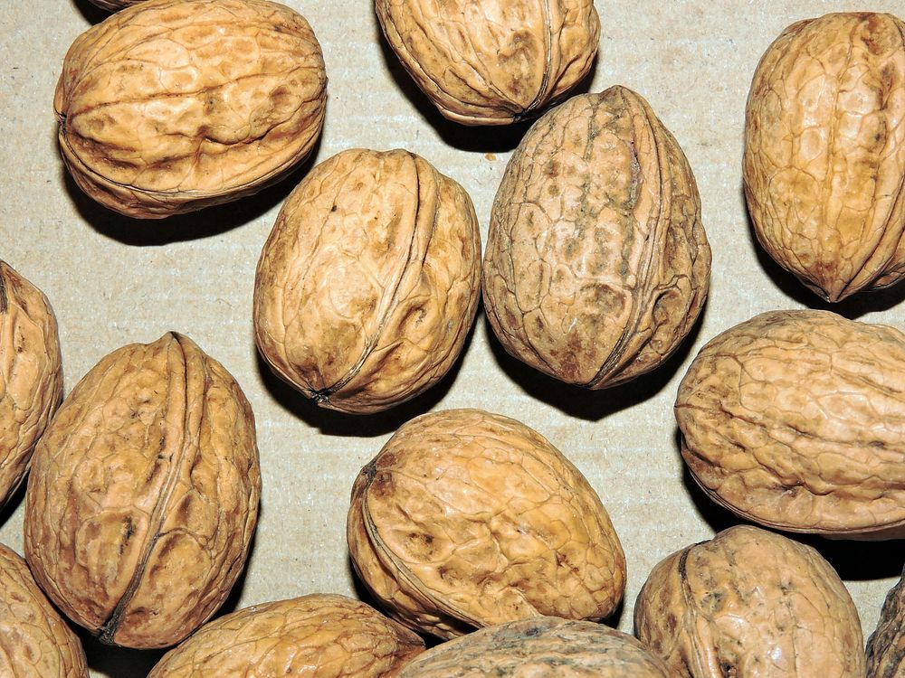 Closeup on unopened walnuts. Free public domain CC0 photo.