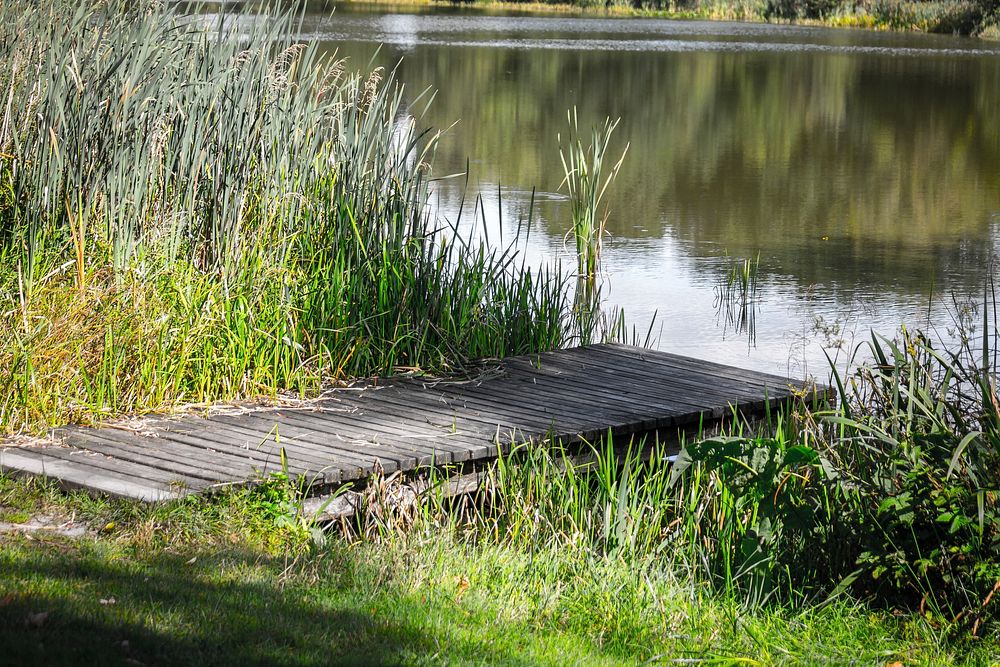 wooden boardwalk by the lake. Free public domain CC0 photo.