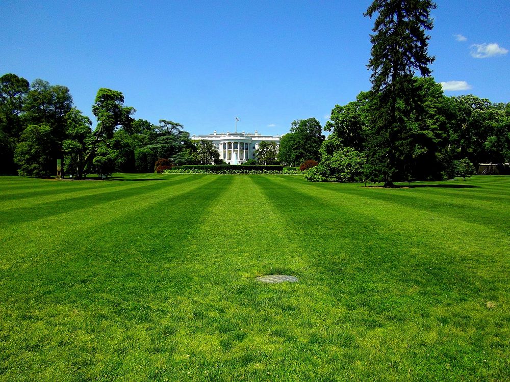 White house yard. Free public domain CC0 image.