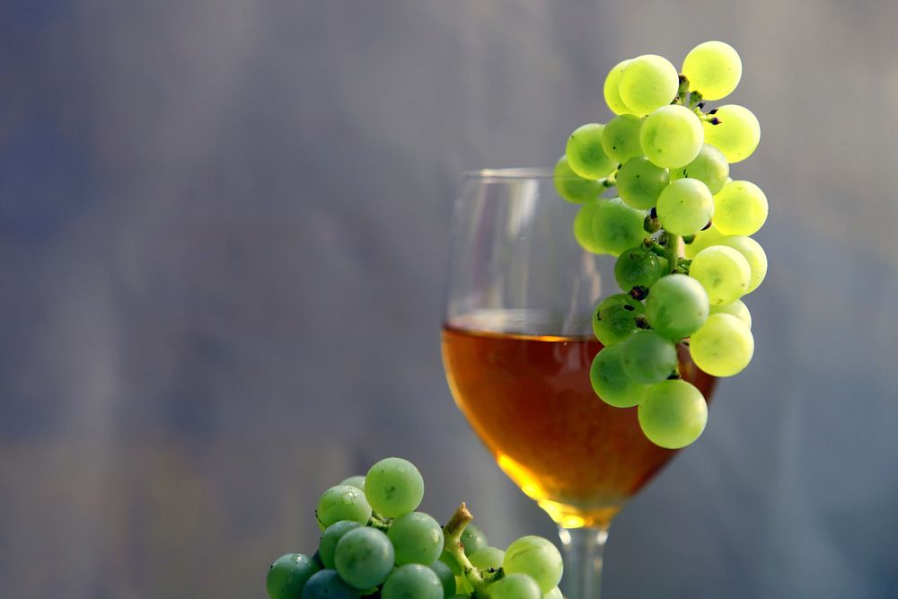 Glass of wine and green grapes. Free public domain CC0 photo.