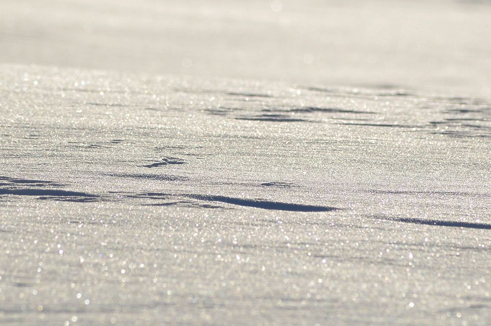 Snow on ground. Free public domain CC0 photo.