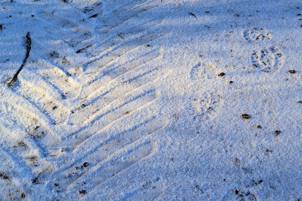 Closeup on tire tracks in snow. Free public domain CC0 image. 