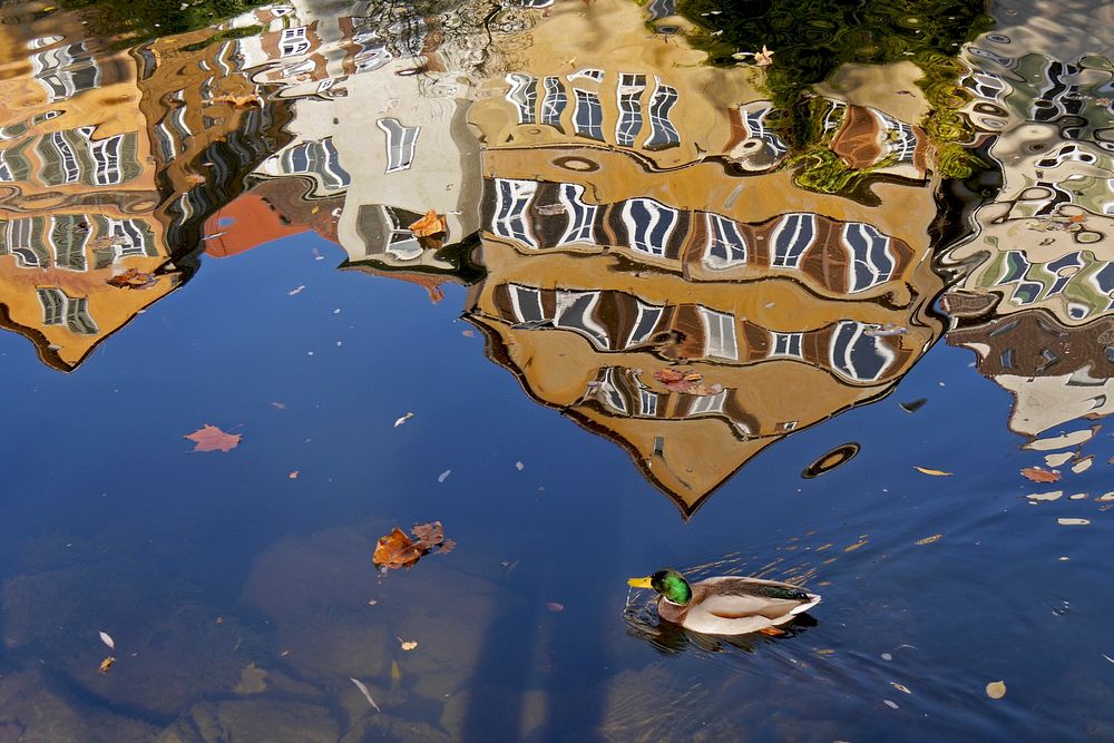 Tübingen neighborhood reflection on water. Free public domain CC0 photo.