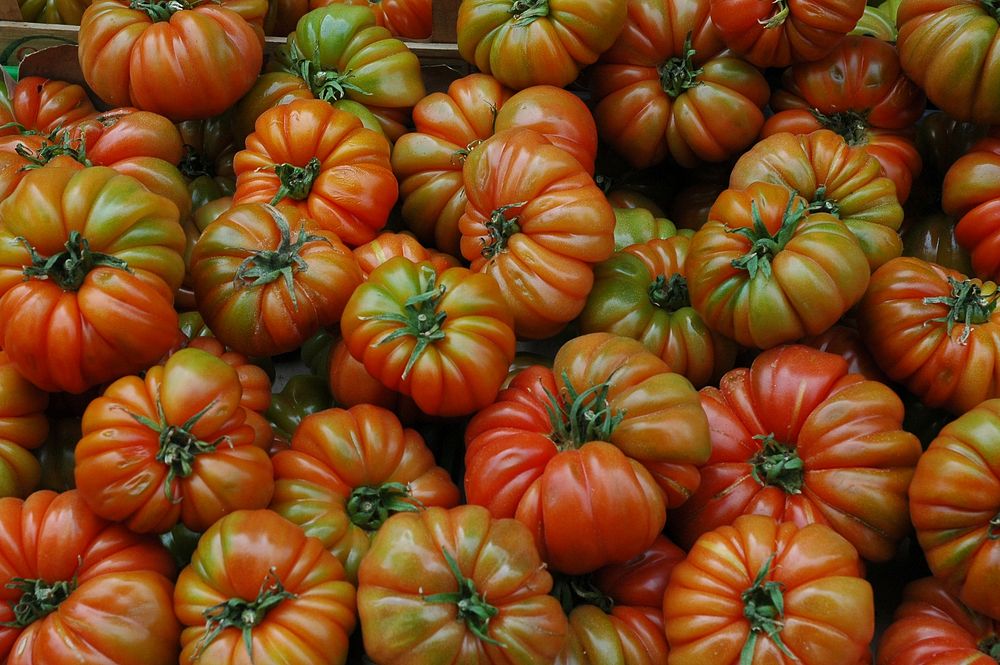 Pile of heirloom tomatoes. Free public domain CC0 image.