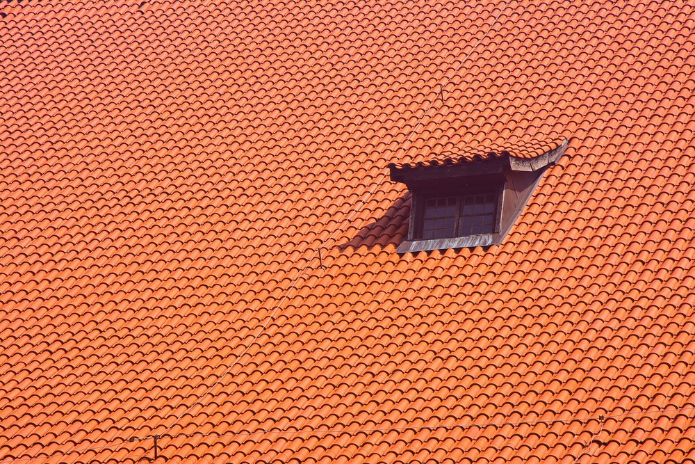 Window on roof. Free public domain CC0 photo.
