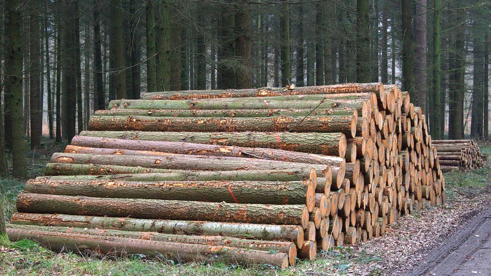 Pile of timber background. Free public domain CC0 photo.